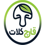 لوگو الوسازمان ( ارائه دهنده‌ی راهکارهای سازمانی)