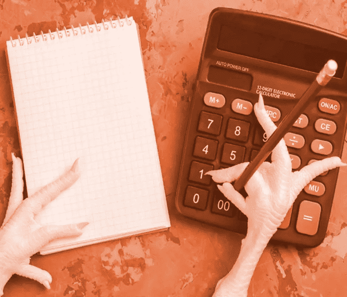 هزینه&zwnj;ها برای ساخت سالن مرغداری